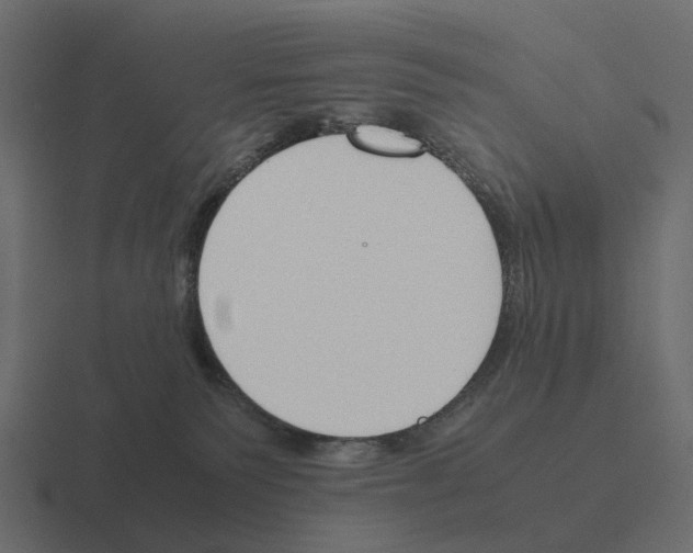 X0000116330135200912291600