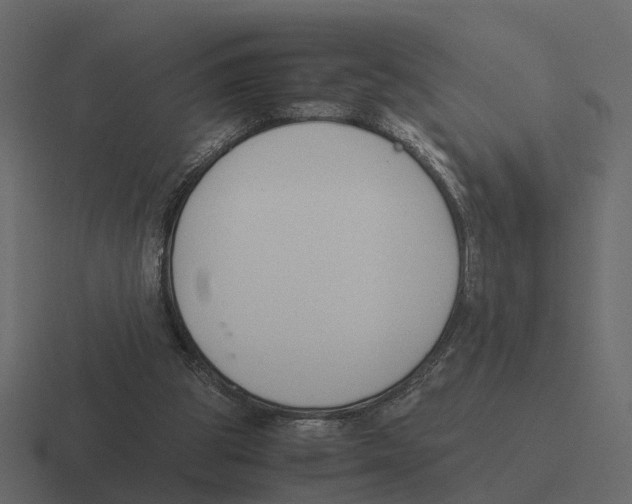 X0000116330153200912291559
