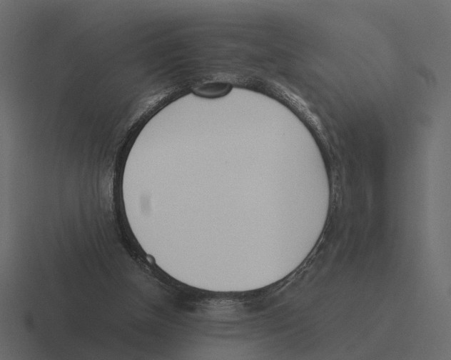 X0000116330154200912291559