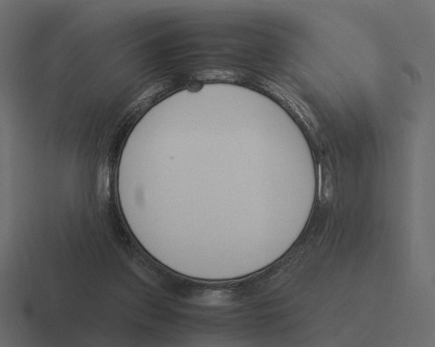 X0000116330157200912291559