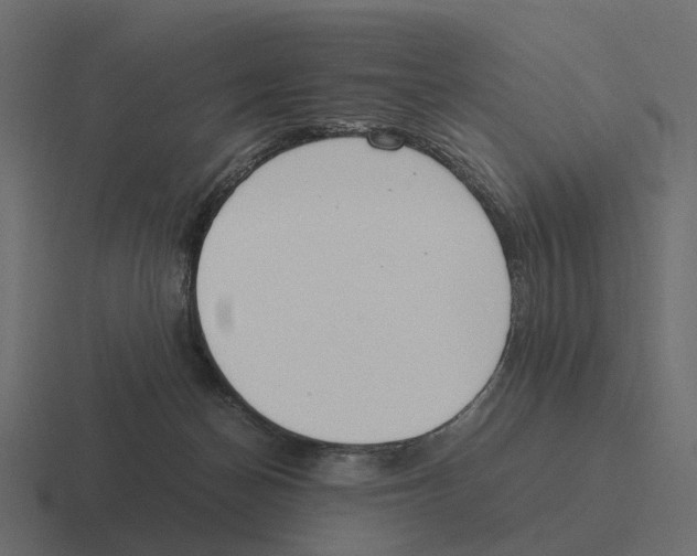 X0000116330174200912291600