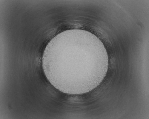 X0000116330177200912291600