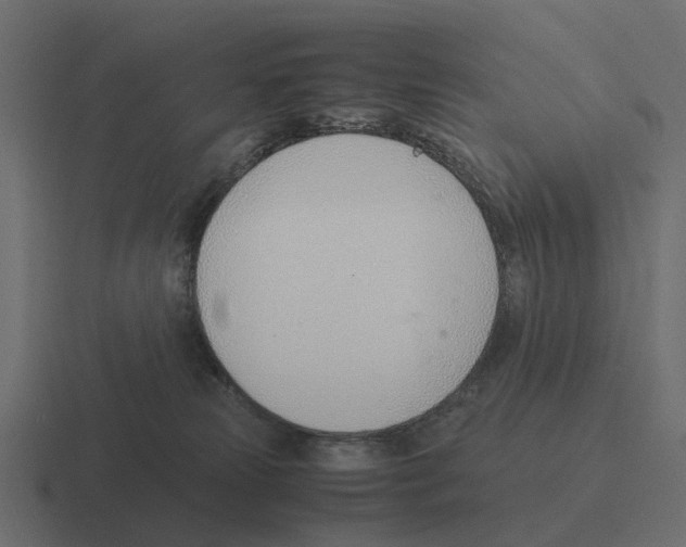 X0000116330181200912291600