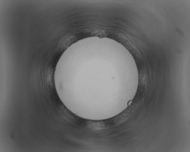 X0000116330185200912291600