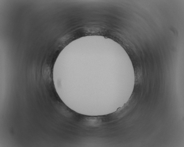 X0000116330187200912291600