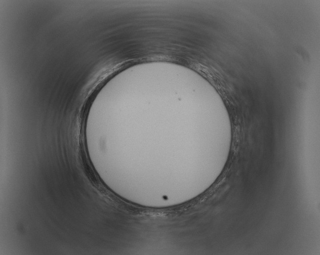 X0000116330194200912291559
