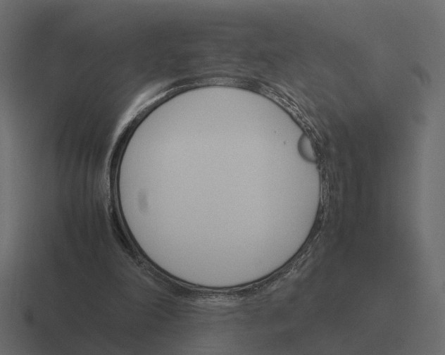X0000116330198200912291559