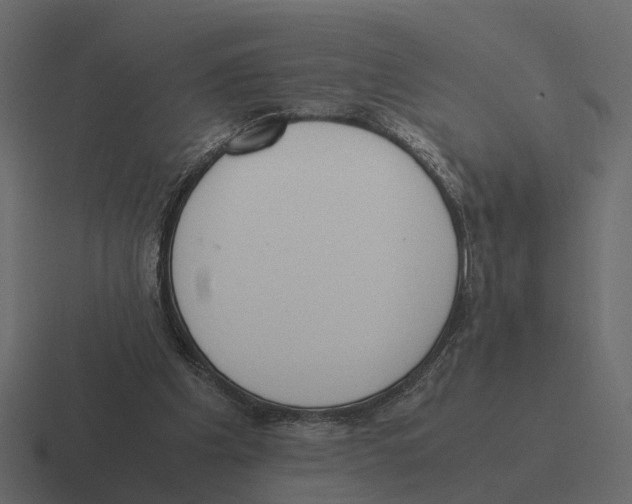X0000116330201200912291559