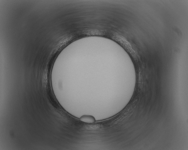 X0000116330202200912291559