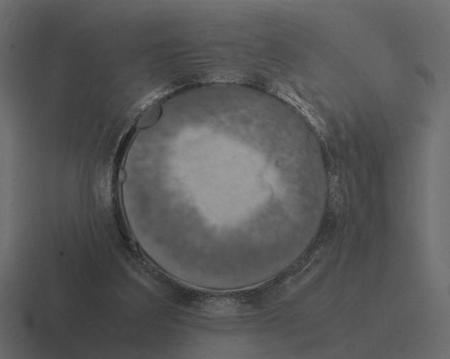 X0000116330203200912291559