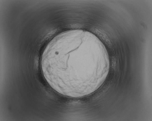 X0000116330206200912291559