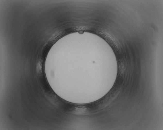 X0000116330214200912291559