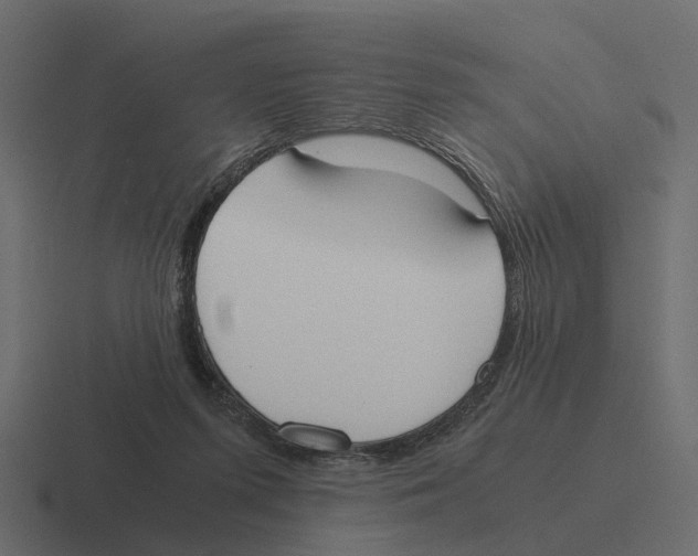 X0000116330215200912291559