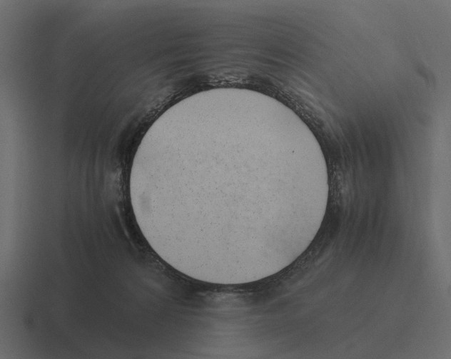 X0000116330224200912291559