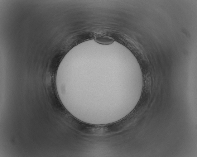 X0000116330225200912291559