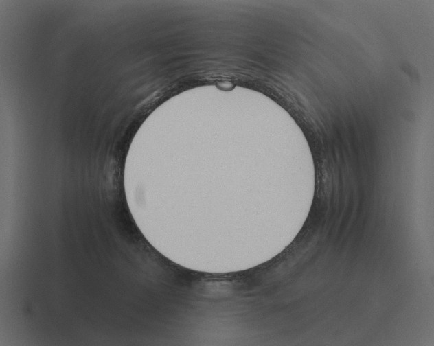 X0000116330228200912291559
