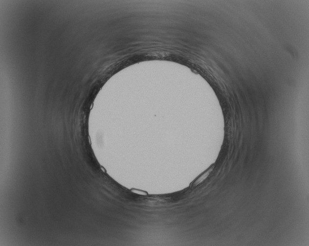 X0000116330229200912291559