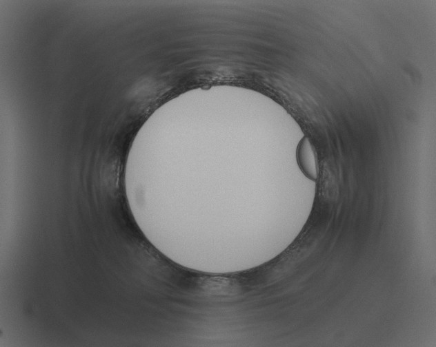 X0000116330230200912291559