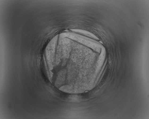 X0000116330231200912291559