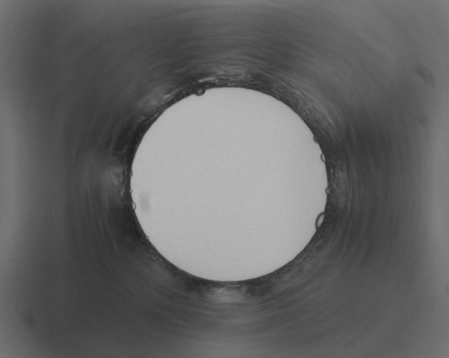 X0000116330232200912291559