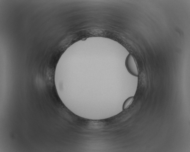 X0000116330234200912291559