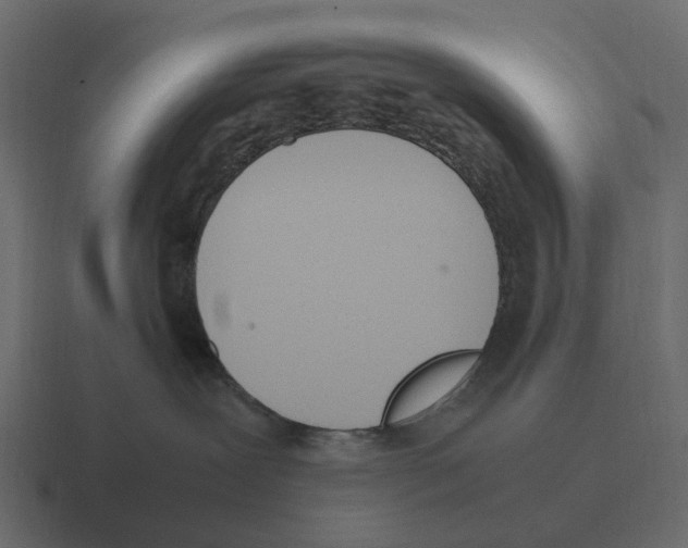 X0000116330239200912291559