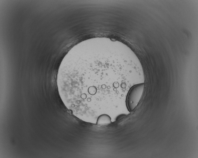 X0000116330240200912291559