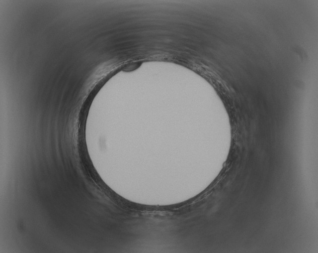 X0000116330242200912291558