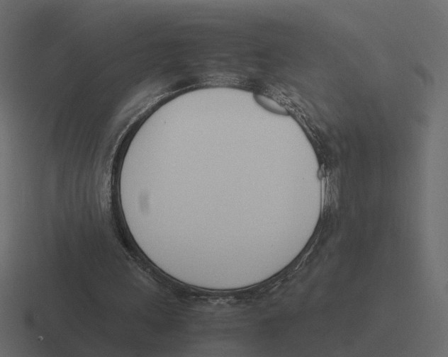 X0000116330243200912291558