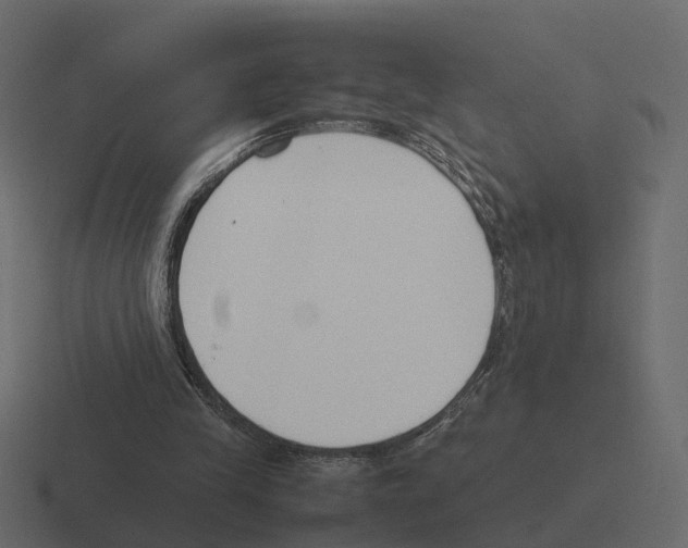 X0000116330245200912291558