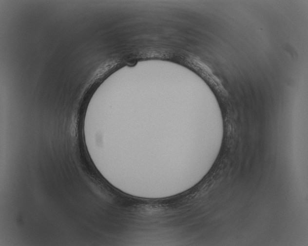 X0000116330250200912291558