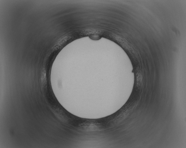 X0000116330254200912291558