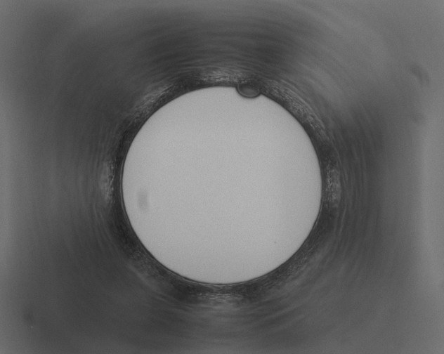 X0000116330255200912291558