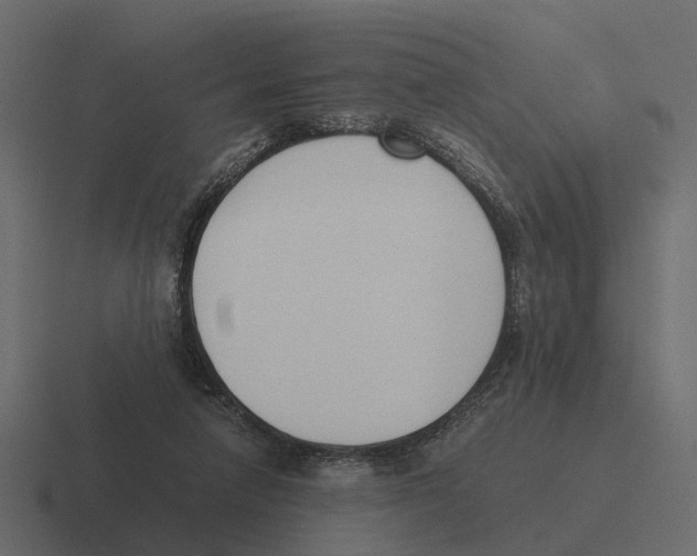X0000116330258200912291558