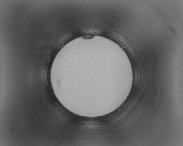 X0000116330259200912291558