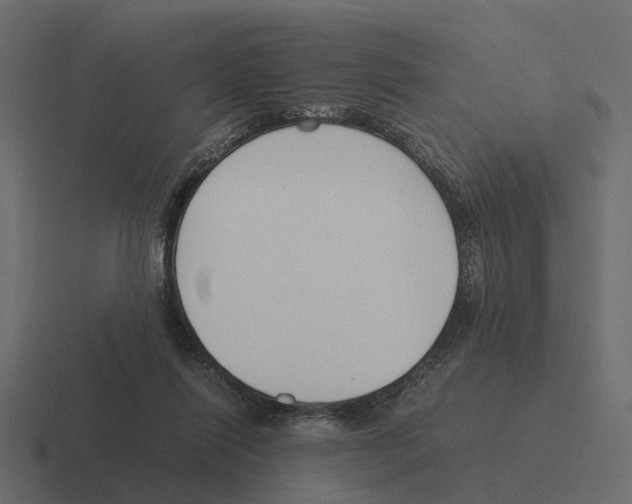 X0000116330262200912291558
