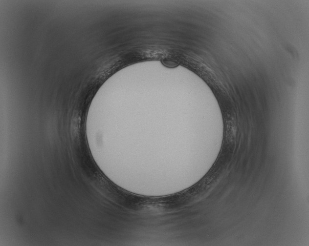 X0000116330263200912291558