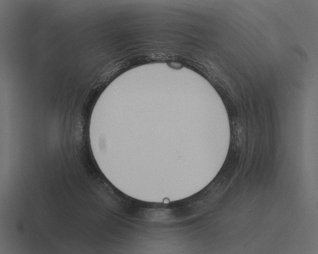 X0000116330266200912291558