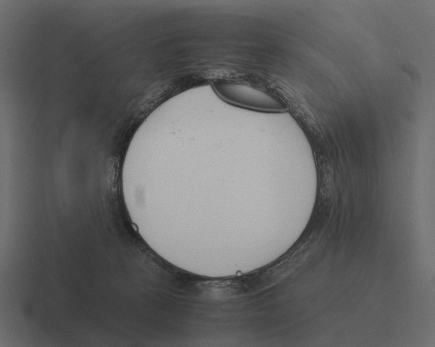 X0000116330273200912291558