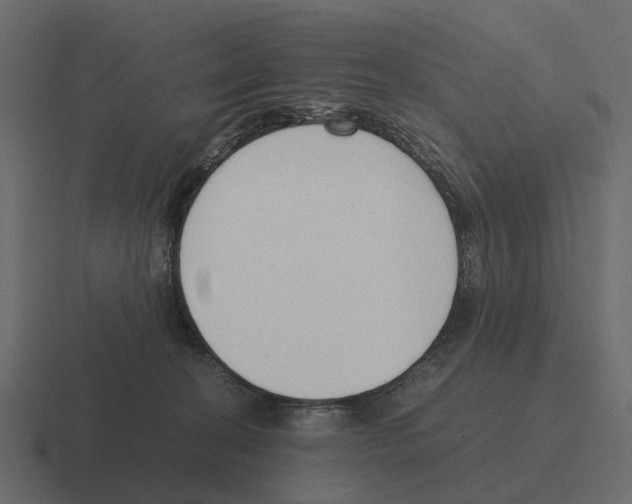 X0000116330274200912291558