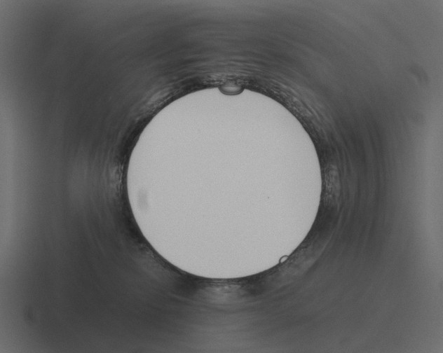 X0000116330278200912291558