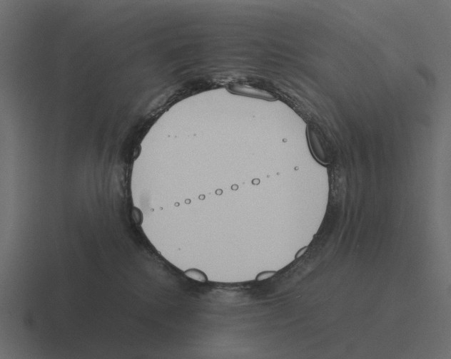 X0000116330280200912291558