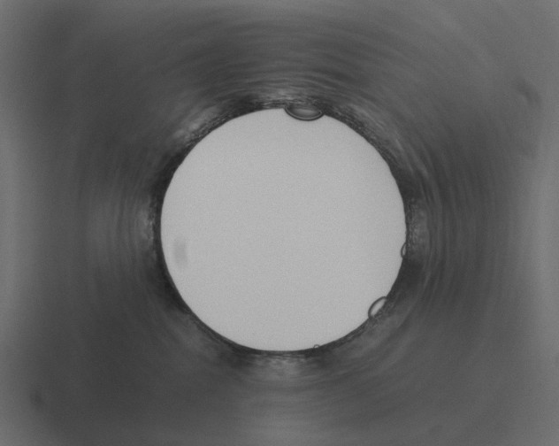 X0000116330282200912291558