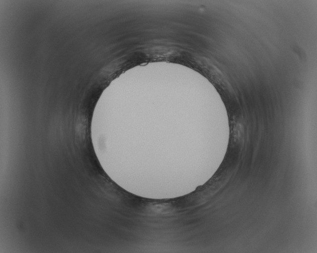 X0000116330283200912291558