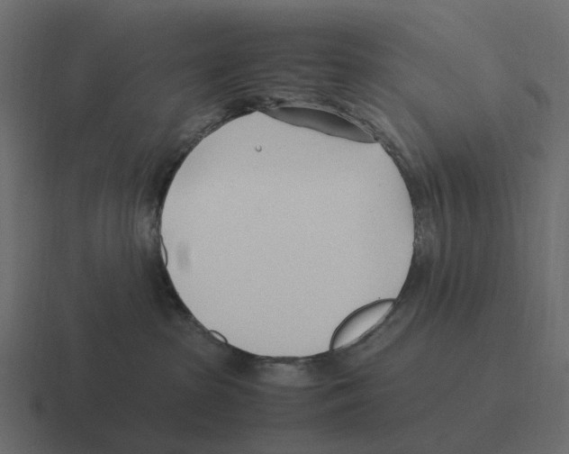 X0000116330285200912291559