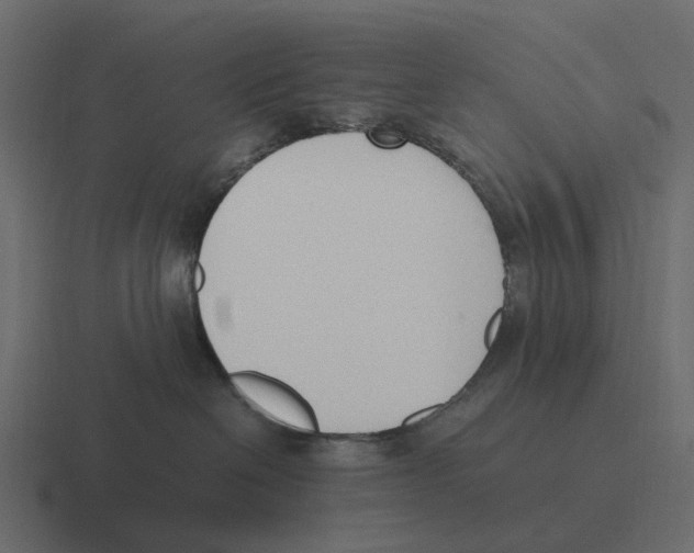 X0000116330286200912291559