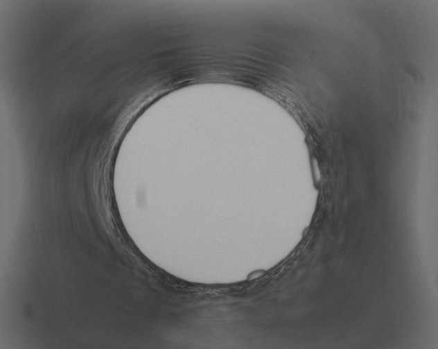 X0000116330289200912291558
