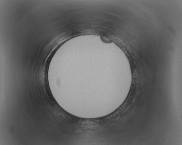 X0000116330290200912291558