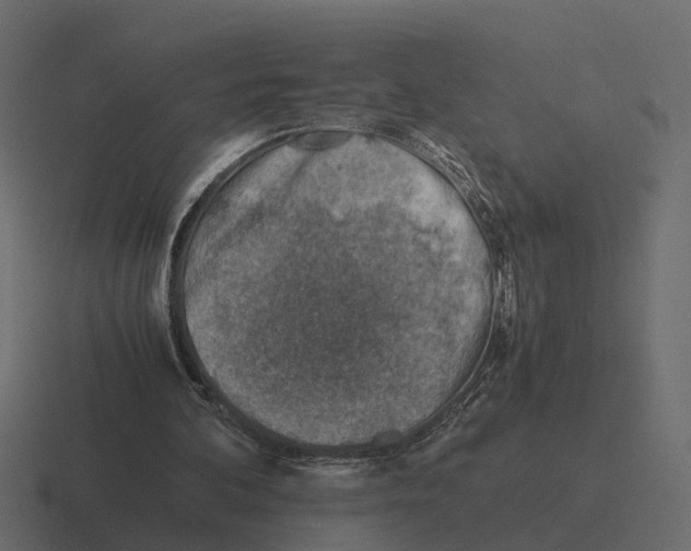 X0000116330292200912291558