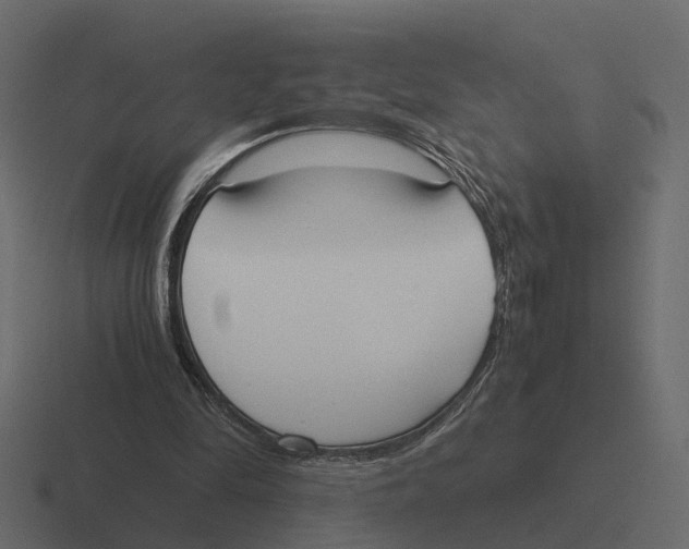 X0000116330294200912291558